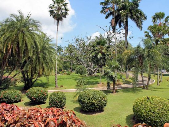 トリニダード　ハイライト＆ドライブツアー＜英語ガイド/トリニダード・トバゴ発＞