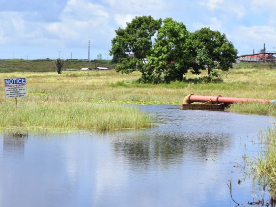 トリニダード　南方＆ピッチレイクツアー＜英語ガイド/トリニダード・トバゴ発＞