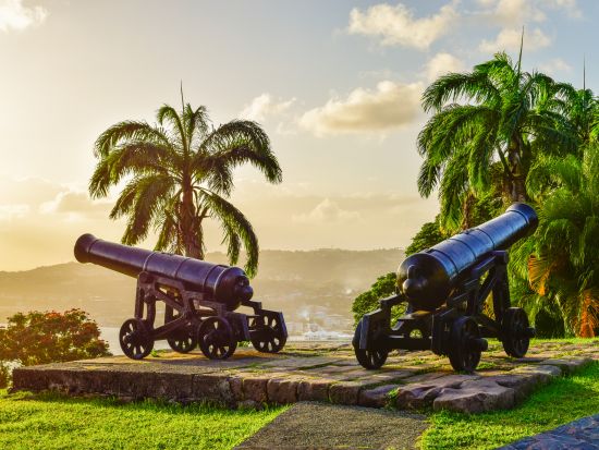 トバゴ　日帰りトバゴツアー＜英語ガイド／トリニダード・トバゴ発＞