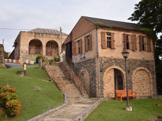 トバゴ　トバゴ島ツアー＜英語ガイド/トリニダード・トバゴ発＞