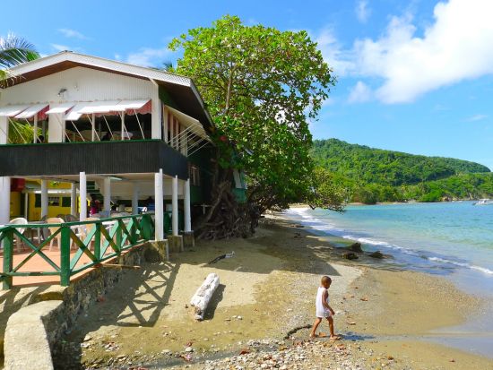 トバゴ　トバゴ島ツアー＜英語ガイド/トリニダード・トバゴ発＞
