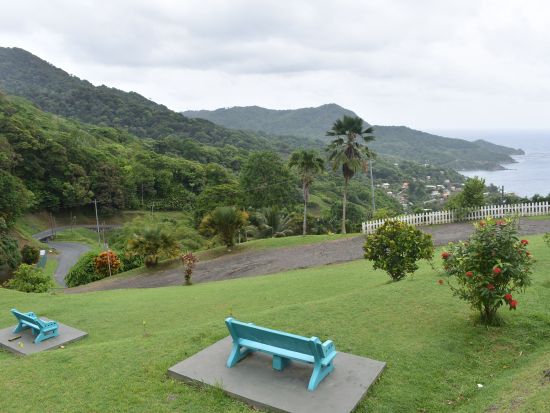 トバゴ　トバゴ島ツアー＜英語ガイド/トリニダード・トバゴ発＞