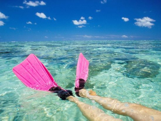 アルバ マリンスポーツ ツアー＜英語ガイド/アルバ発＞