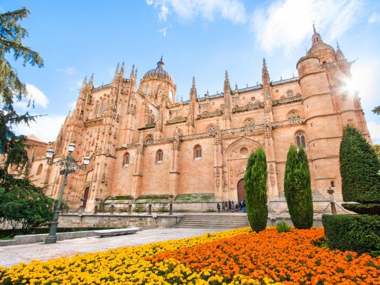 世界遺産アビラ＆サラマンカ　1日観光ツアー ＜英語／マドリード発＞