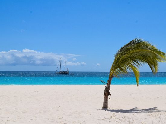 バルバドス　バルバドス探索ツアー＜英語ガイド／バルバドス発＞