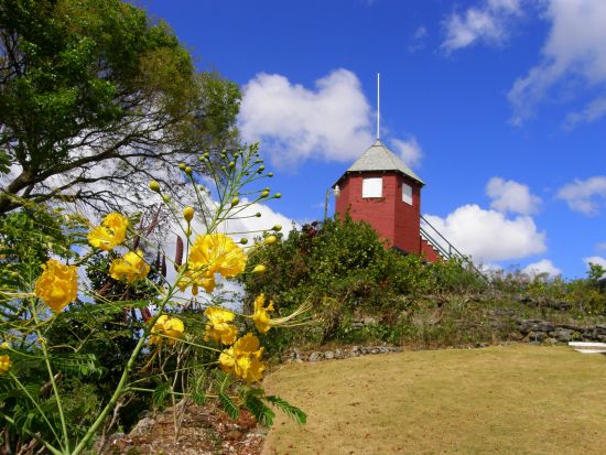 バルバドス　バルバドス探索ツアー＜英語ガイド／バルバドス発＞
