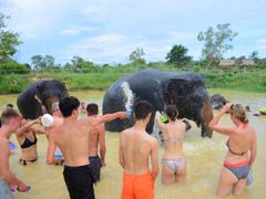 Pattaya Elephant Jungle Sanctuary (4)