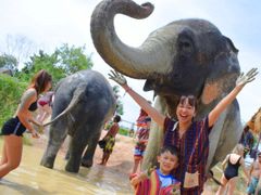 Pattaya Elephant Jungle Sanctuary (6)