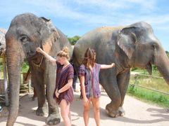 Pattaya Elephant Jungle Sanctuary (7)