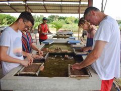 Pattaya Elephant Jungle Sanctuary (3)