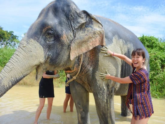 Pattaya Elephant Jungle Sanctuary (8)