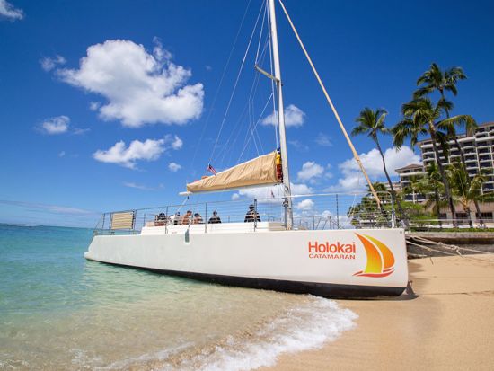 ウミガメシュノーケリング　ホロカイ・カタマラン号　高確率でウミガメに会えるタートルキャニオンへ！ソフトドリンク&スナック付き＜3時間／英語／ワイキキホテル発＞