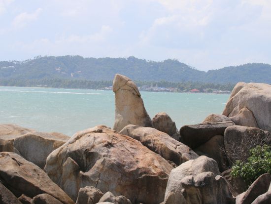 【サムイ発】エコサファリ1日ツアー☆象乗り体験やタイガー見学など盛りだくさん！＜午前／ホテル送迎付／日本語ガイド＞