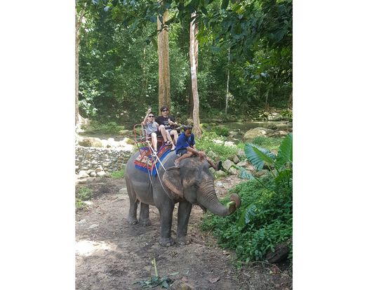 エレファントトレッキング