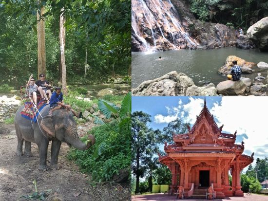 【サムイ発】エコサファリ1日ツアー☆象乗り体験やタイガー見学など盛りだくさん！＜午前／ホテル送迎付／日本語ガイド＞