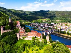 Castle Hirschhorn_shutterstock_1455641483