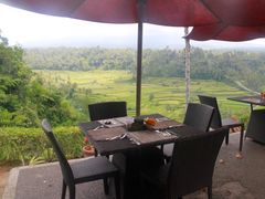Lunch1-crop