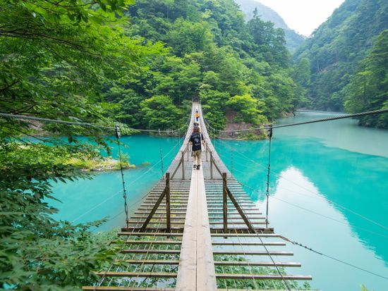 髱吝ｲ｡蟇ｸ蜿亥ｳ｡螟｢縺ｮ蜷頑ｩ・