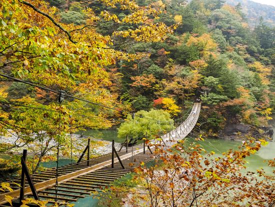 s_蟇ｸ蜿亥ｳ｡,邏・痩1