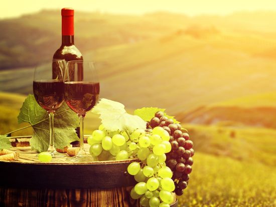 トスカーナ州 キャンティ地方ワイナリーツアー ＜ワイナリー2軒／試飲付き＞