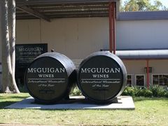 Mcguigan