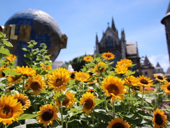 サンワールド・バーナーヒルズツアー　ギネス認定ケーブルカーも楽しめる天空の遊園地　ダナン花火大会鑑賞付プラン有＜日本語ガイド／基本アトラクション込み／ダナン発＞