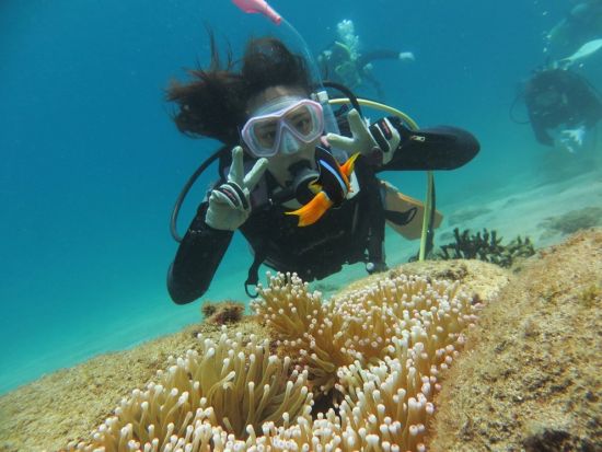 体験ダイビング 器材一式レンタル込 1名～参加OK！ダイビング終了後は温泉に立ち寄りあり　＜鹿児島市発＞ by アクアトリップ ダイビング