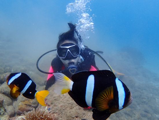 体験ダイビング 器材一式レンタル込 1名～参加OK！ダイビング終了後は温泉に立ち寄りあり　＜鹿児島市発＞ by アクアトリップ ダイビング