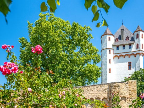 【プライベートツアー】好みの街が選べる！ベテランガイドと巡る フランクフルト近郊都市6時間観光ツアー＜日本語／フランクフルト発＞ by Mybus