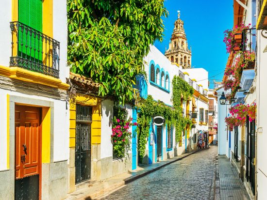 アンダルシア　1日観光ツアー　コルドバ市内観光＆白い村バエナ＆サンニコラス展望台 ＜貸切／コルドバ発グラナダ着 ＞