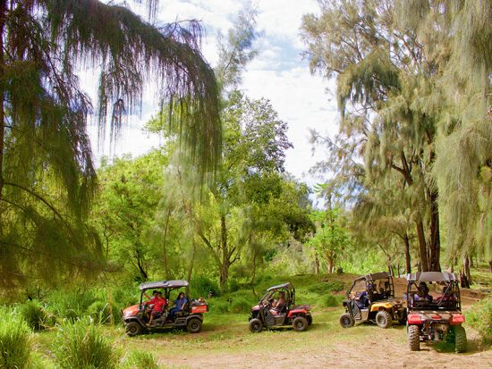 ハワイ島　UTVツアー　山から海へと続くハマクア地区のドライブコースとハワイ固有の動植物の生息地を巡る＜午前・午後／英語ガイド＞