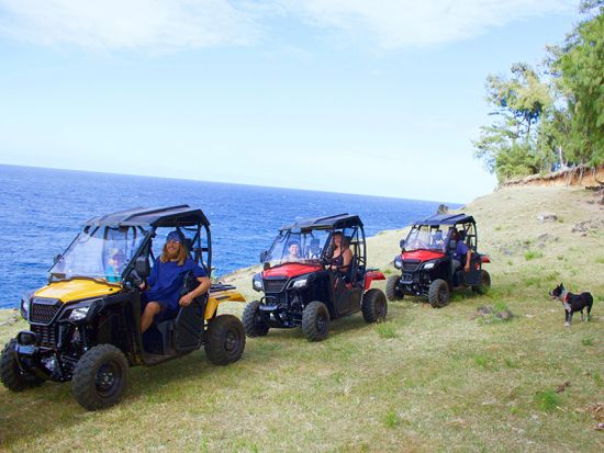 ハワイ島　UTVツアー　山から海へと続くハマクア地区のドライブコースとハワイ固有の動植物の生息地を巡る＜午前・午後／英語ガイド＞