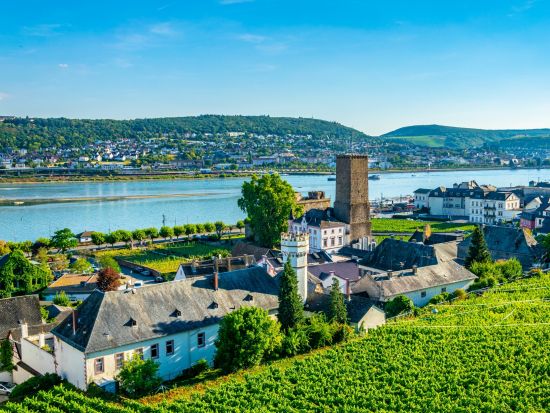 【プライベートツアー】好みの街が選べる！ベテランガイドと巡る フランクフルト近郊都市6時間観光ツアー＜日本語／フランクフルト発＞ by Mybus