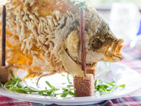 メコン川クルーズ＋クチトンネル観光ツアー　象耳魚の昼食＆ベンタインプリンセス号ディナークルーズ付き！＜日本語ガイド／ホテルお迎え／貸切プランあり＞