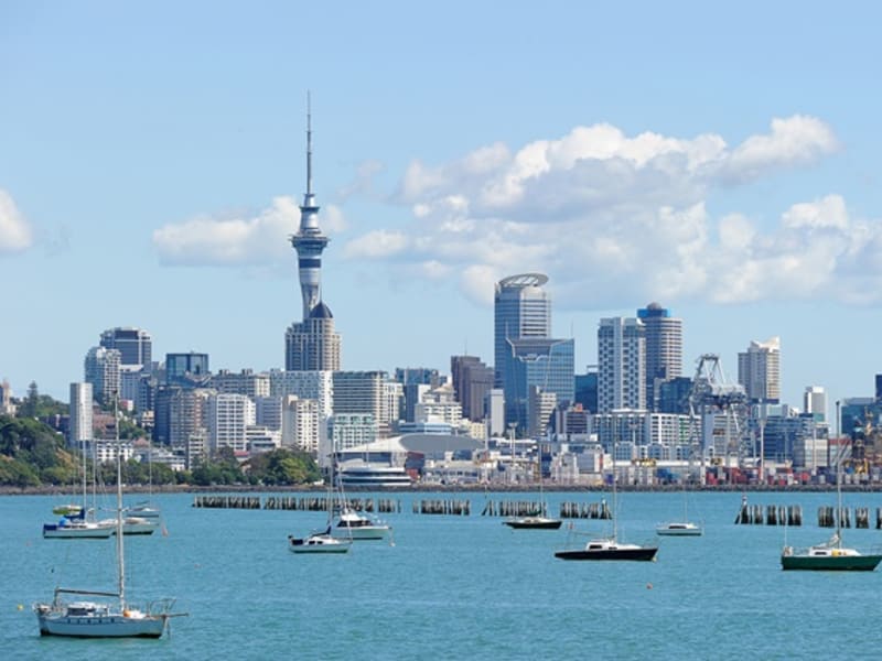 Auckland Cityscape Tour