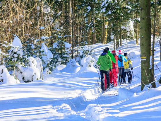 shutterstock_1525102751