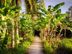 shutterstock_1383049706