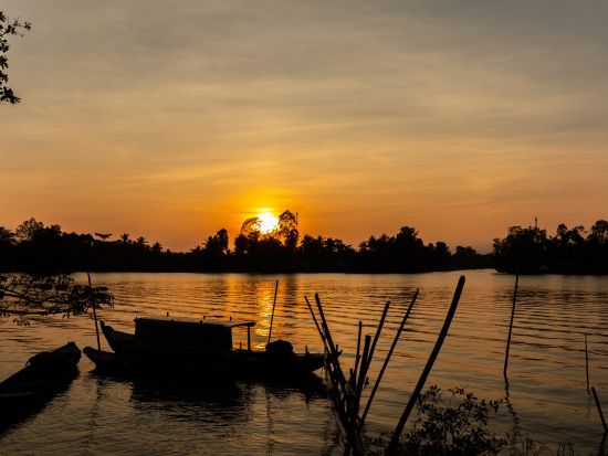 ナイトメコン川クルーズ日帰りツアー　幻想的なホタル鑑賞つき ＜午後／象耳魚の夕食／日本語ガイド＞