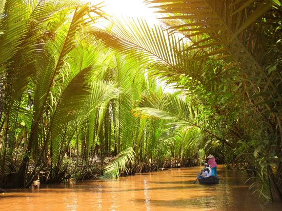 ナイトメコン川クルーズ日帰りツアー　幻想的なホタル鑑賞つき ＜午後／象耳魚の夕食／日本語ガイド＞