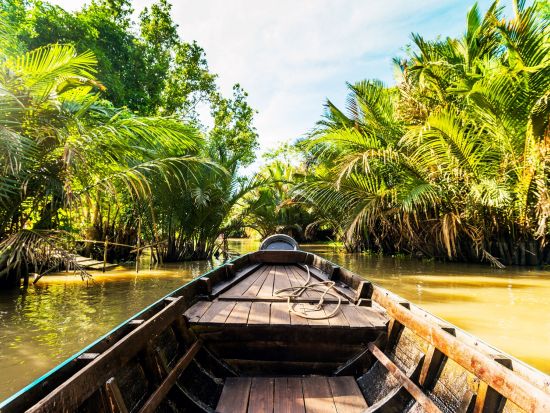 クチトンネル＆ナイトメコンデルタ日帰りツアー　戦争遺跡とジャングルクルーズ＋蛍鑑賞まで満喫＜日本語ガイド／1日／昼食夕食付き＞