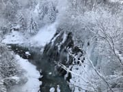 しらひげの滝-冬