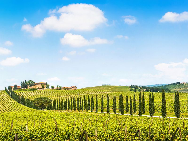shutterstock_137717216