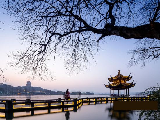 【プレミアム・杭州】1等車で行く日帰りツアー☆西湖遊覧＋龍井茶体験＋ミシュランレストラン「大董」での夕食＜専用車／日本語ガイド／人気店の昼食＆夕食付／上海発＞