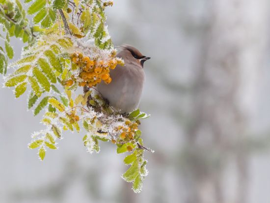 48907114778_e40bf88ba2_o