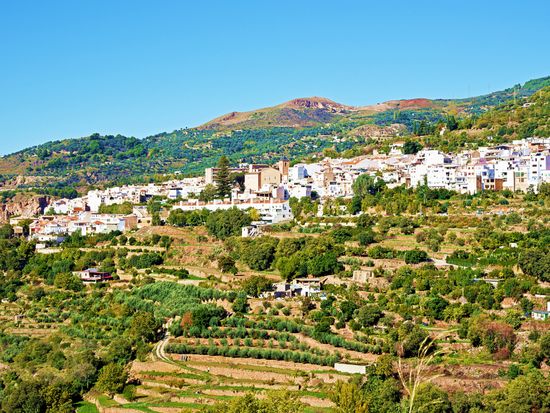 shutterstock_341193218