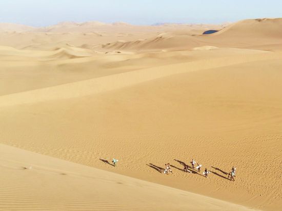 ワカチナ1日観光ツアー　オアシス＆ワイナリー訪問＋サンドバギー・サンドボーディング体験！＜日本語ガイド／昼食付／リマ発＞