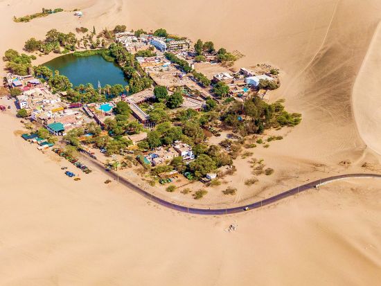 ワカチナ1日観光ツアー　オアシス＆ワイナリー訪問＋サンドバギー・サンドボーディング体験！＜日本語ガイド／昼食付／リマ発＞