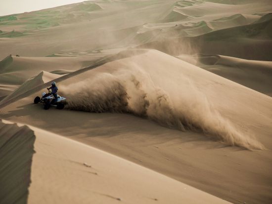 ワカチナ1日観光ツアー　オアシス＆ワイナリー訪問＋サンドバギー・サンドボーディング体験！＜日本語ガイド／昼食付／リマ発＞