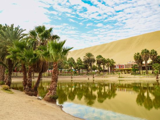 ワカチナ1日観光ツアー　オアシス＆ワイナリー訪問＋サンドバギー・サンドボーディング体験！＜日本語ガイド／昼食付／リマ発＞