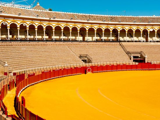 アンダルシアの白い村 ミハス＆カサレス＆断崖絶壁の村ロンダ　1日観光プライベートツアー ＜セビリア発マラガ着＞